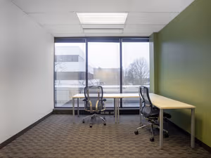 1 Person Virtual Office