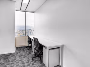 1 Person Virtual Office