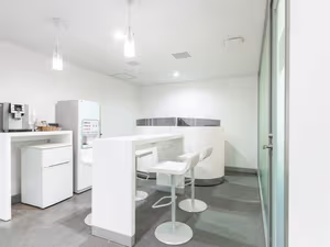 1 Person Virtual Office