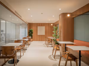 1 Person Virtual Office