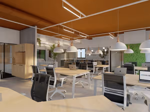 1 Person Virtual Office