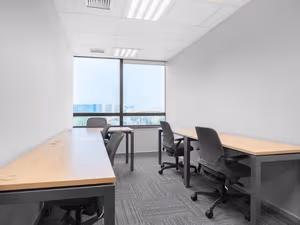 1 Person Virtual Office