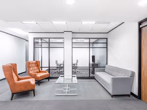 1 Person Virtual Office