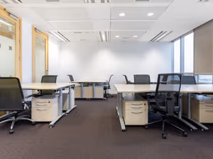 1 Person Virtual Office