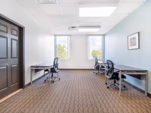 1 Person Virtual Office