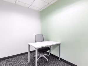 1 Person Virtual Office