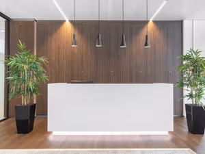 1 Person Virtual Office