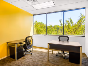 1 Person Virtual Office