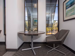 1 Person Virtual Office