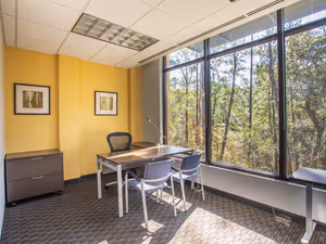 1 Person Virtual Office