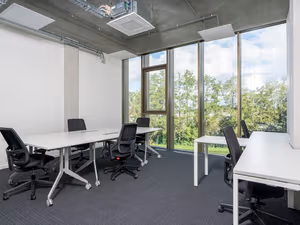 1 Person Virtual Office