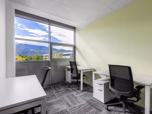 1 Person Virtual Office