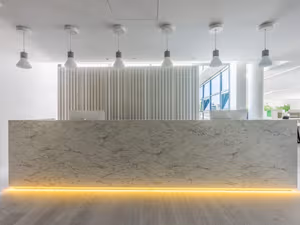 1 Person Virtual Office