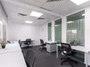 1 Person Virtual Office