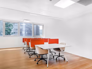 1 Person Virtual Office