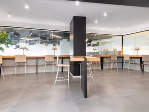 1 Person Virtual Office