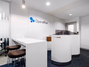 1 Person Virtual Office