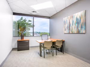 1 Person Virtual Office