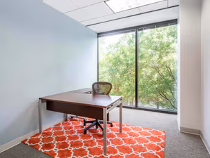 1 Person Virtual Office