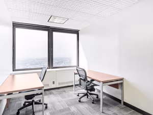 1 Person Virtual Office