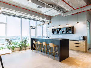 1 Person Virtual Office