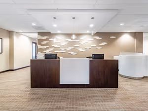 1 Person Virtual Office