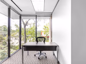 1 Person Virtual Office