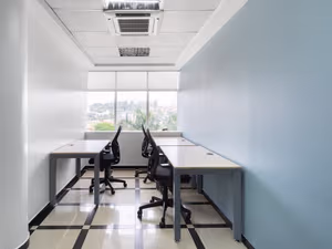 1 Person Virtual Office