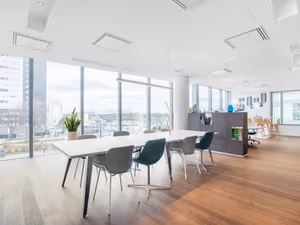 1 Person Virtual Office