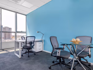 1 Person Virtual Office