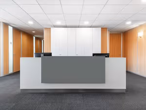 1 Person Virtual Office