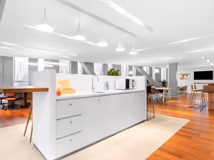 1 Person Virtual Office