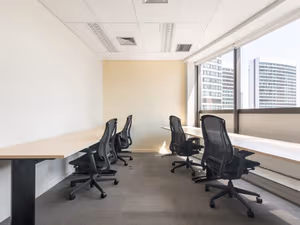 1 Person Virtual Office