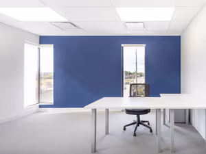 1 Person Virtual Office