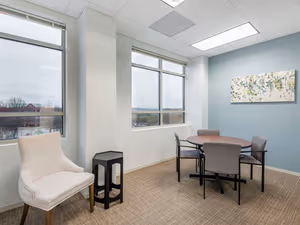 1 Person Virtual Office