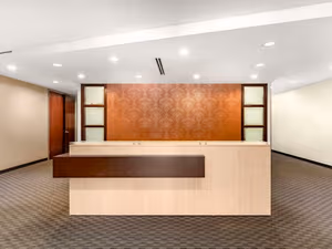 1 Person Virtual Office