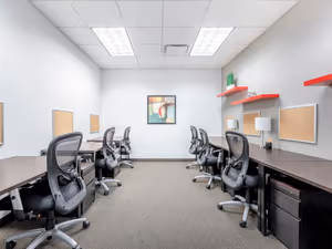 1 Person Virtual Office