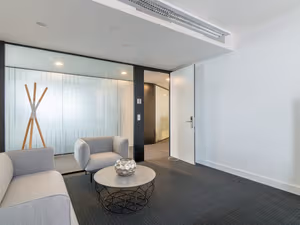 1 Person Virtual Office