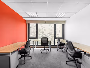 1 Person Virtual Office