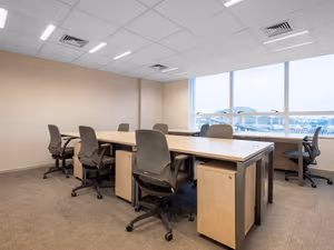 1 Person Virtual Office