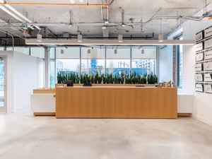 1 Person Virtual Office