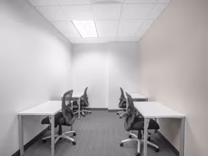 1 Person Virtual Office