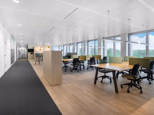 1 Person Virtual Office