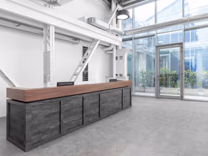 1 Person Private Office