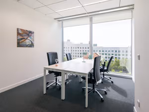 1 Person Virtual Office