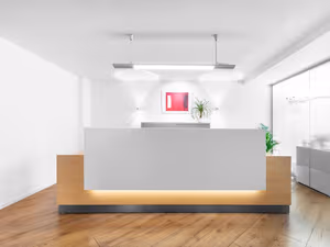 1 Person Virtual Office