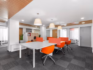 1 Person Virtual Office