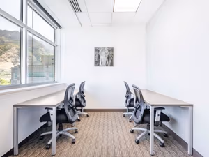 1 Person Virtual Office