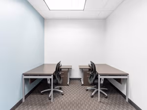 1 Person Virtual Office