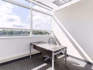 1 Person Virtual Office